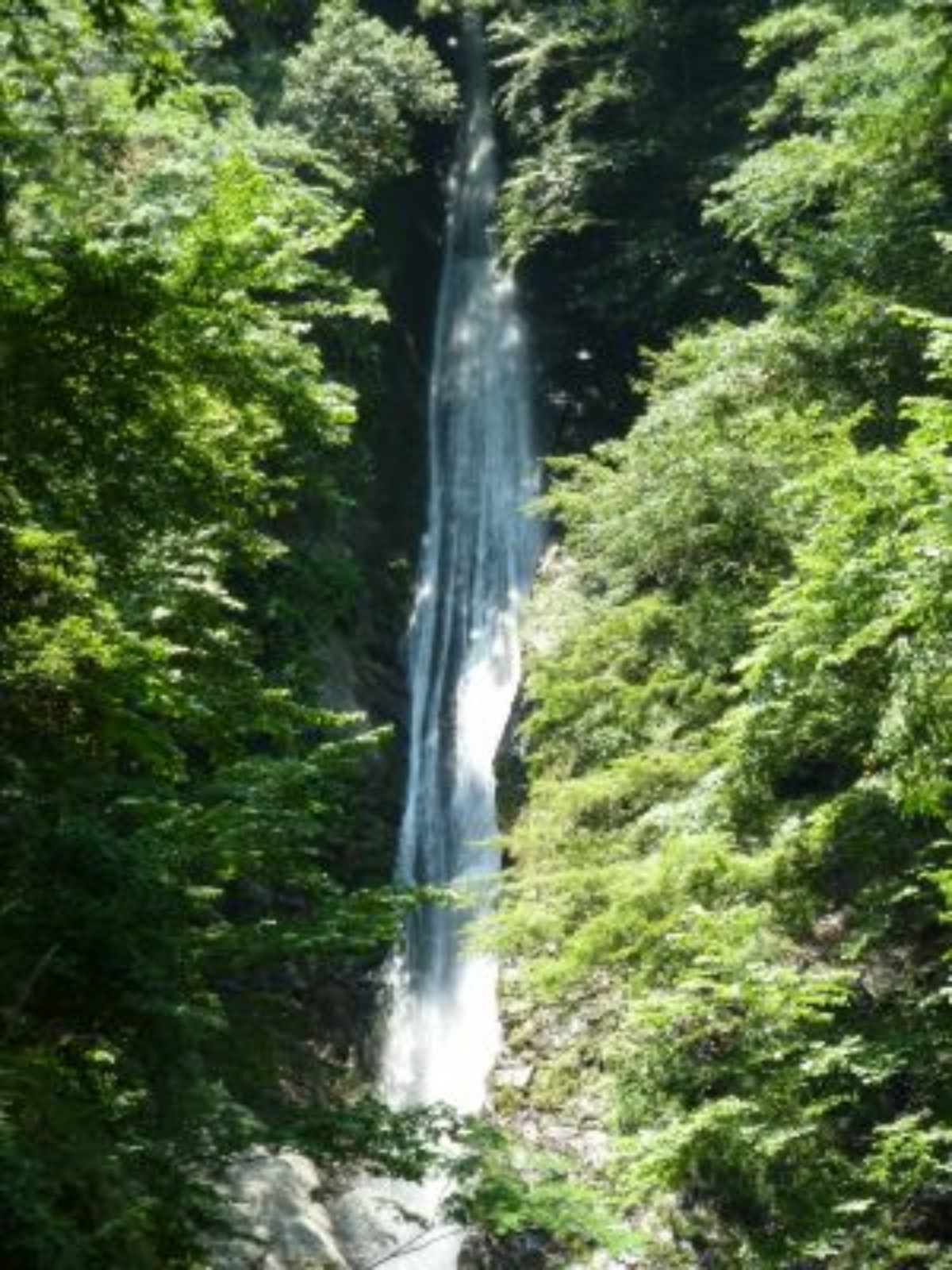 e0033229_17161128.jpg
