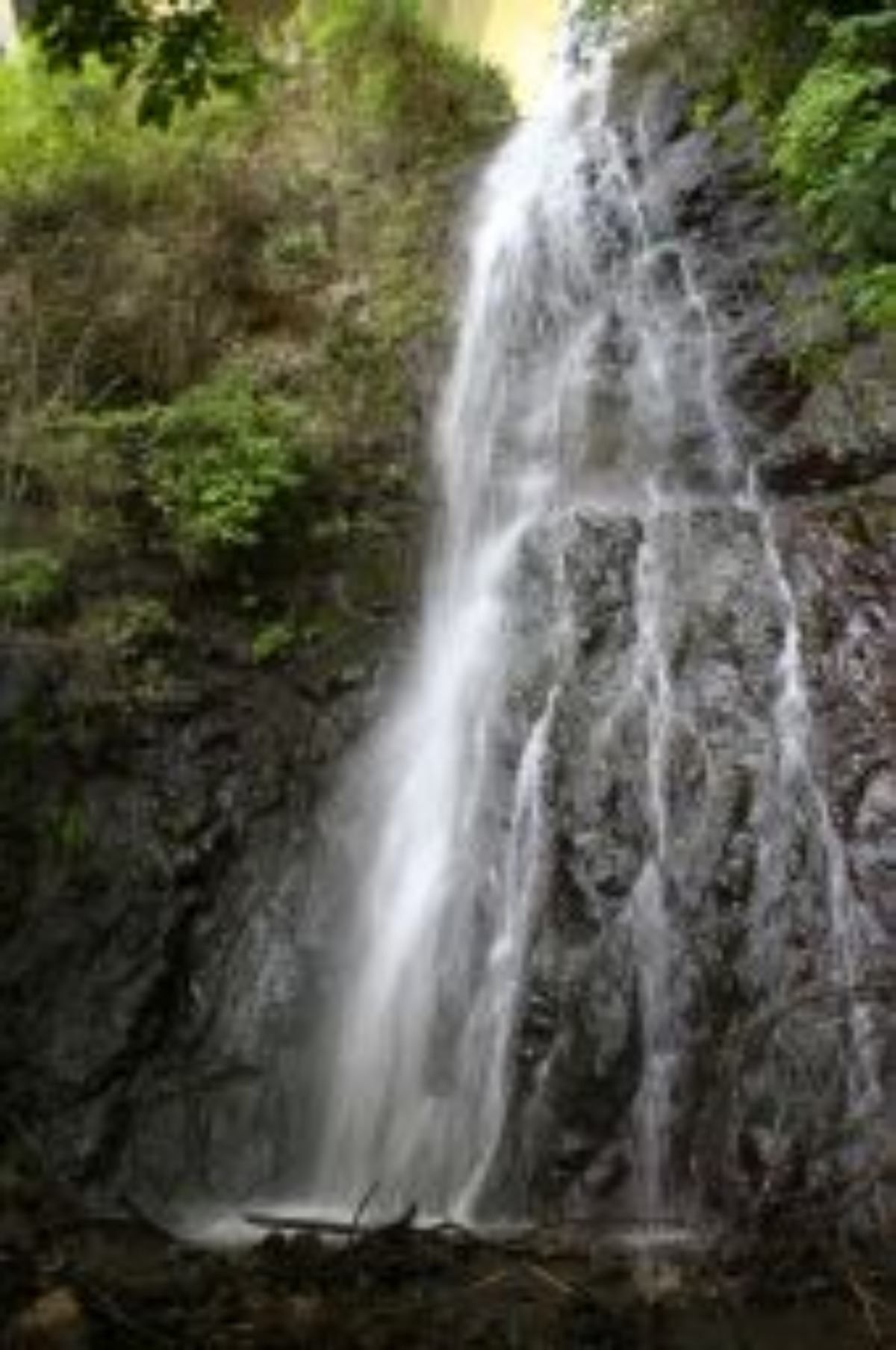 e0033229_17353746.jpg