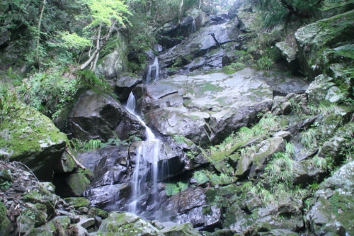 e0033229_1813777.jpg