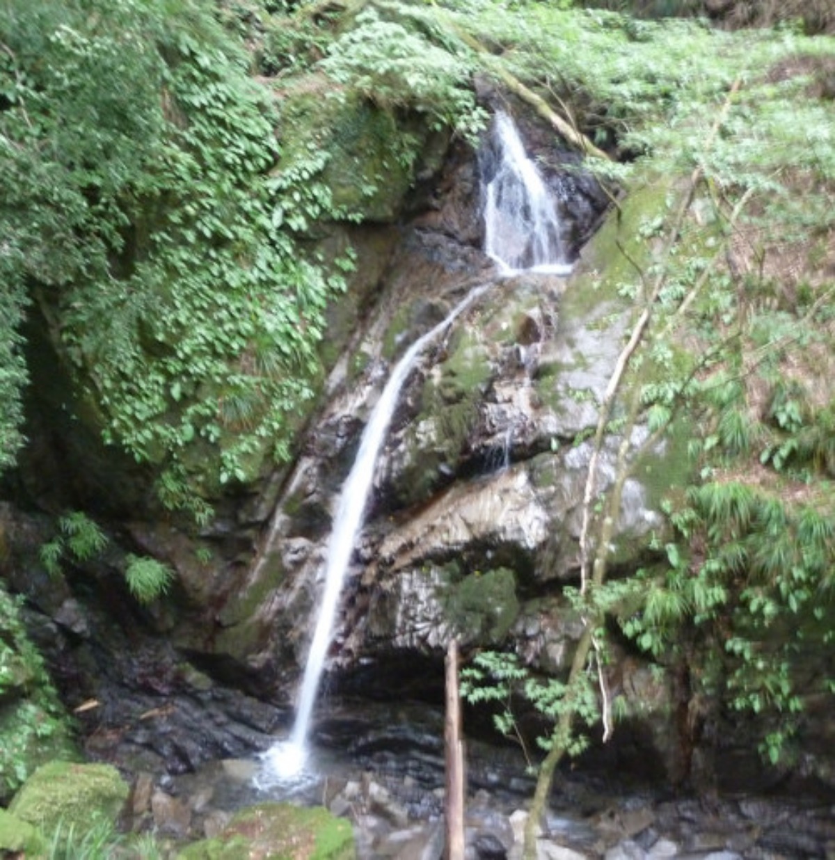 e0033229_188316.jpg