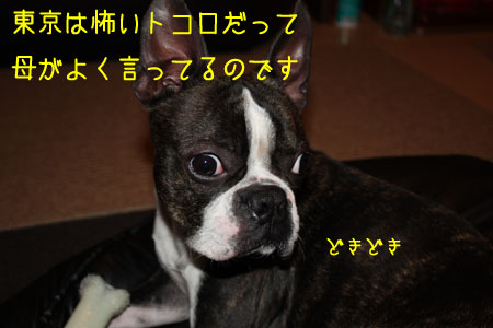 a0190132_23355611.jpg