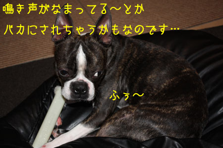 a0190132_23361934.jpg