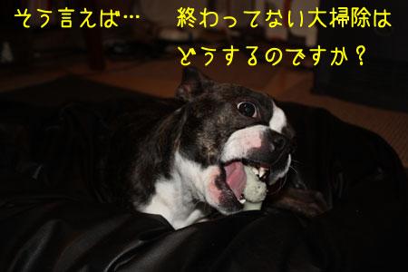 a0190132_2337376.jpg
