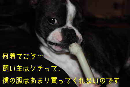 a0190132_2337773.jpg