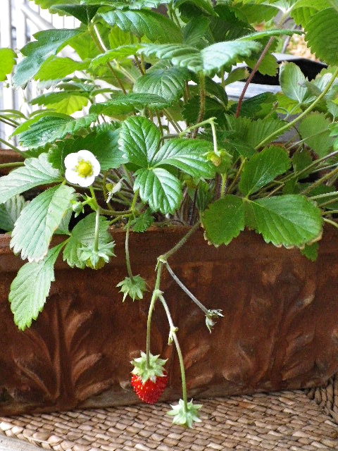 b0027736_22485380.jpg