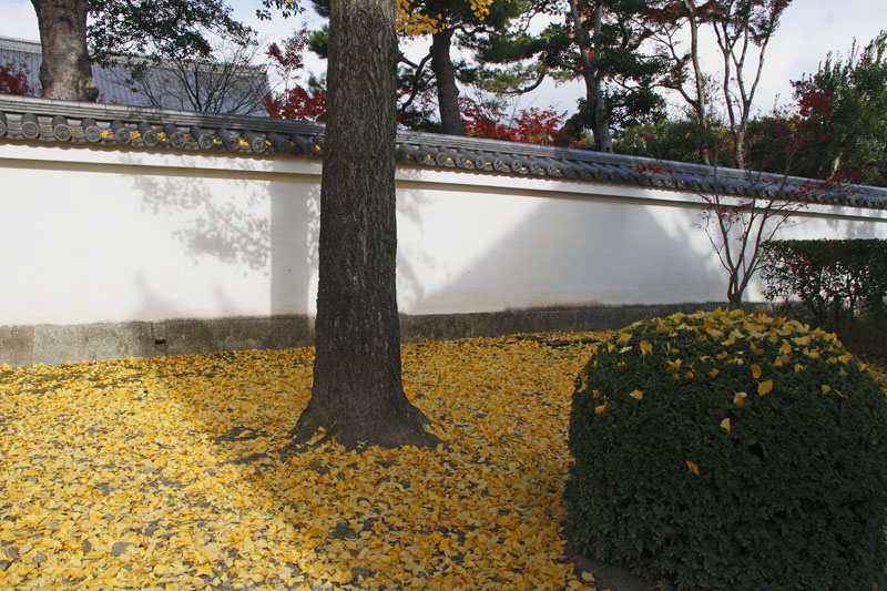 b0042837_630428.jpg