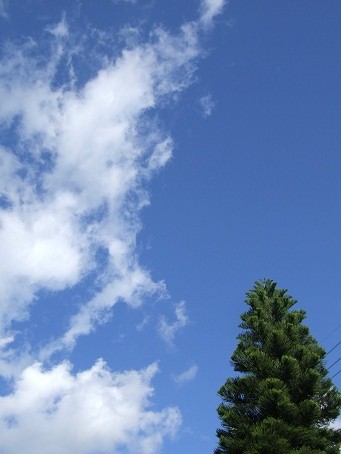 b0089338_2221990.jpg