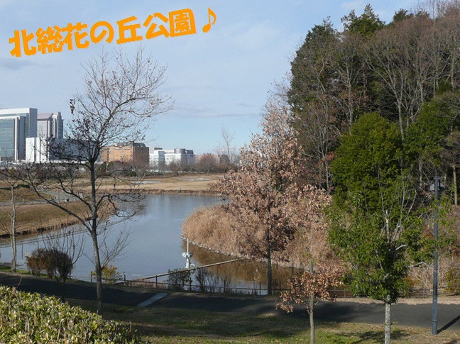 c0147241_18375354.jpg