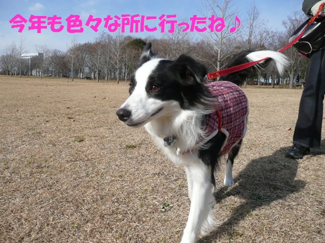 c0147241_18381381.jpg