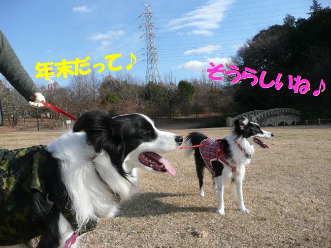 c0147241_1838150.jpg