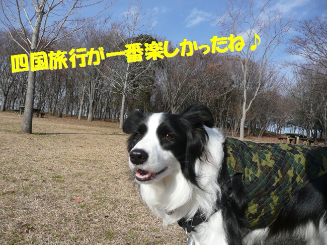 c0147241_18382095.jpg