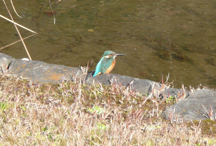 c0147241_18382680.jpg