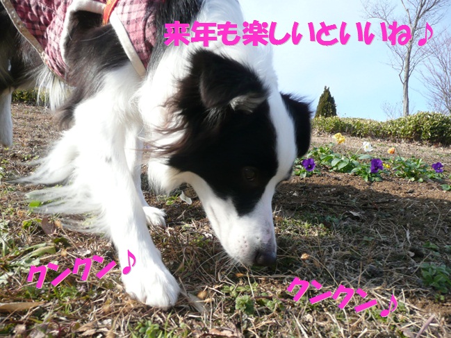 c0147241_1838333.jpg
