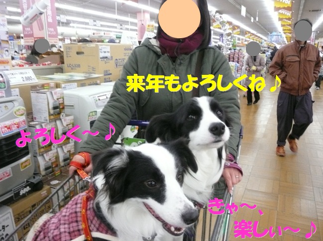 c0147241_18384550.jpg
