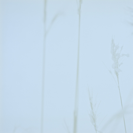 c0095644_1134851.jpg