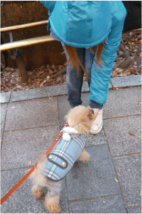 b0182846_1815199.gif