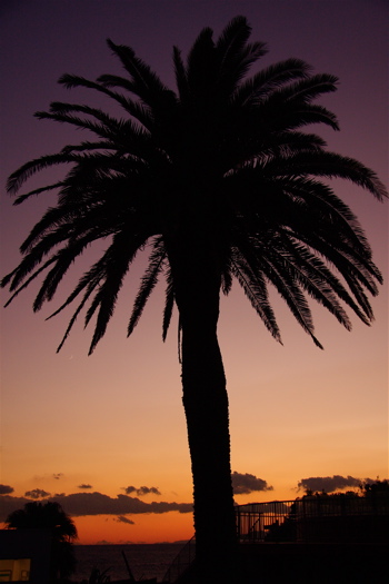 e0235749_11144033.jpg