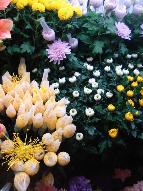 f0041850_1011446.jpg