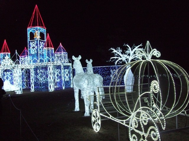 c0111557_17455643.jpg