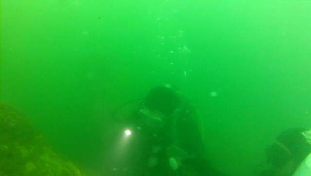 b0075059_10144473.jpg