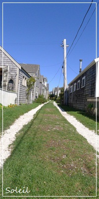b0157660_1513379.jpg