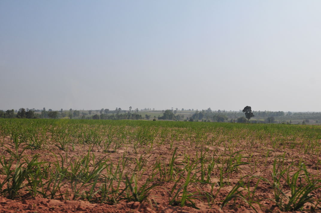 b0149365_22374635.jpg