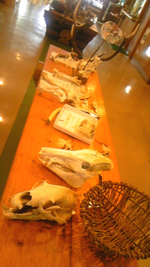 e0118274_1958411.jpg