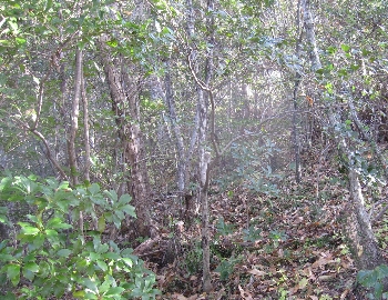 f0003283_11254051.jpg