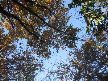 f0003283_11261314.jpg