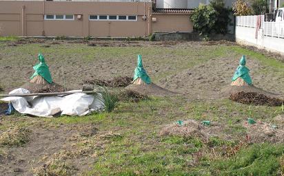 e0130185_13541961.jpg