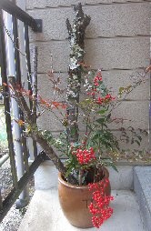 e0060987_00685.jpg