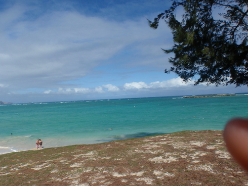b0164291_21591476.jpg