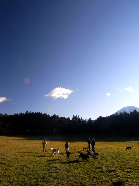 a0093592_2237025.jpg