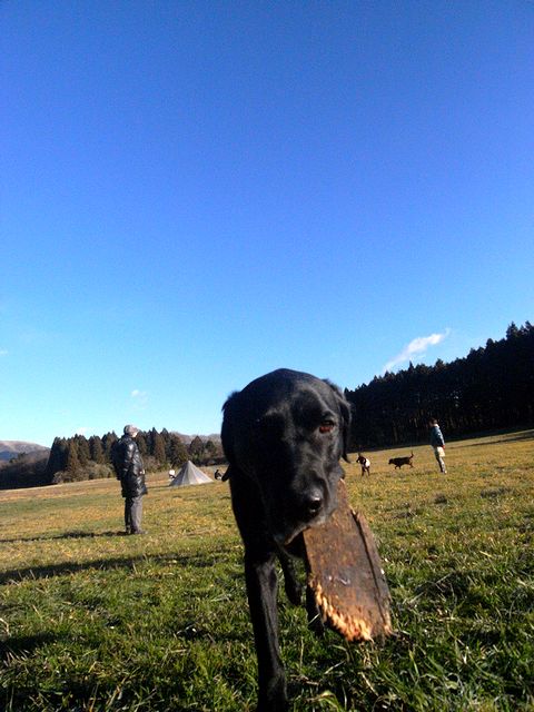 a0093592_22421225.jpg