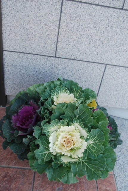 f0213292_8262381.jpg
