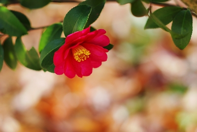 f0201297_19215563.jpg