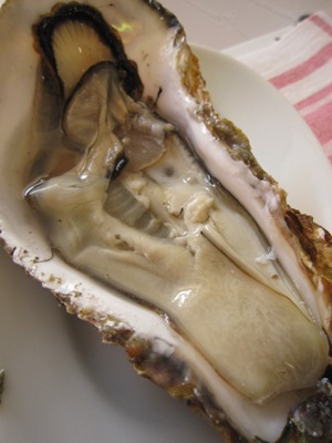 f0006899_1961376.jpg
