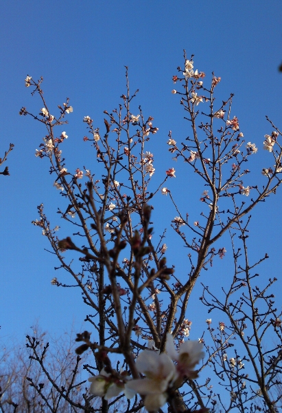 a0031000_23482749.jpg