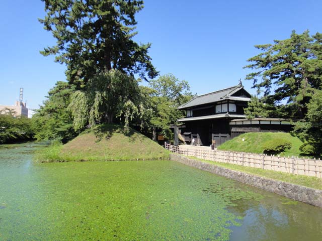 d0004301_19444756.jpg