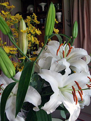 c0077615_2212335.jpg