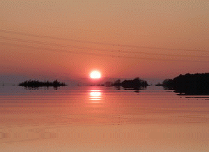 d0197317_19242152.gif