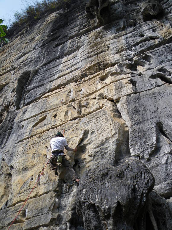 c0210618_2235934.jpg