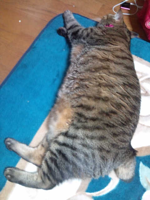 f0220919_021310.jpg