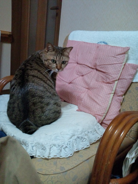 f0220919_18252264.jpg