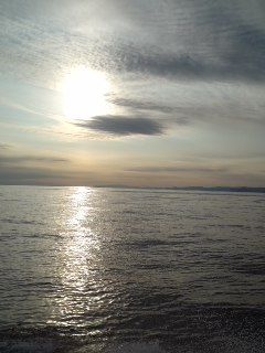 e0172921_0201068.jpg