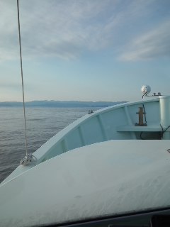 e0172921_0201085.jpg