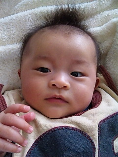 b0073322_12311998.jpg
