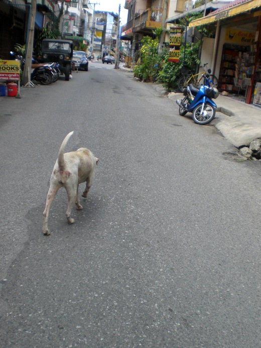 d0102422_10214812.jpg