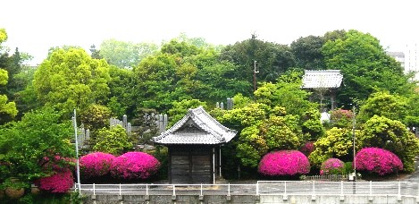 f0213825_9583516.jpg