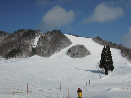 f0151628_905576.jpg